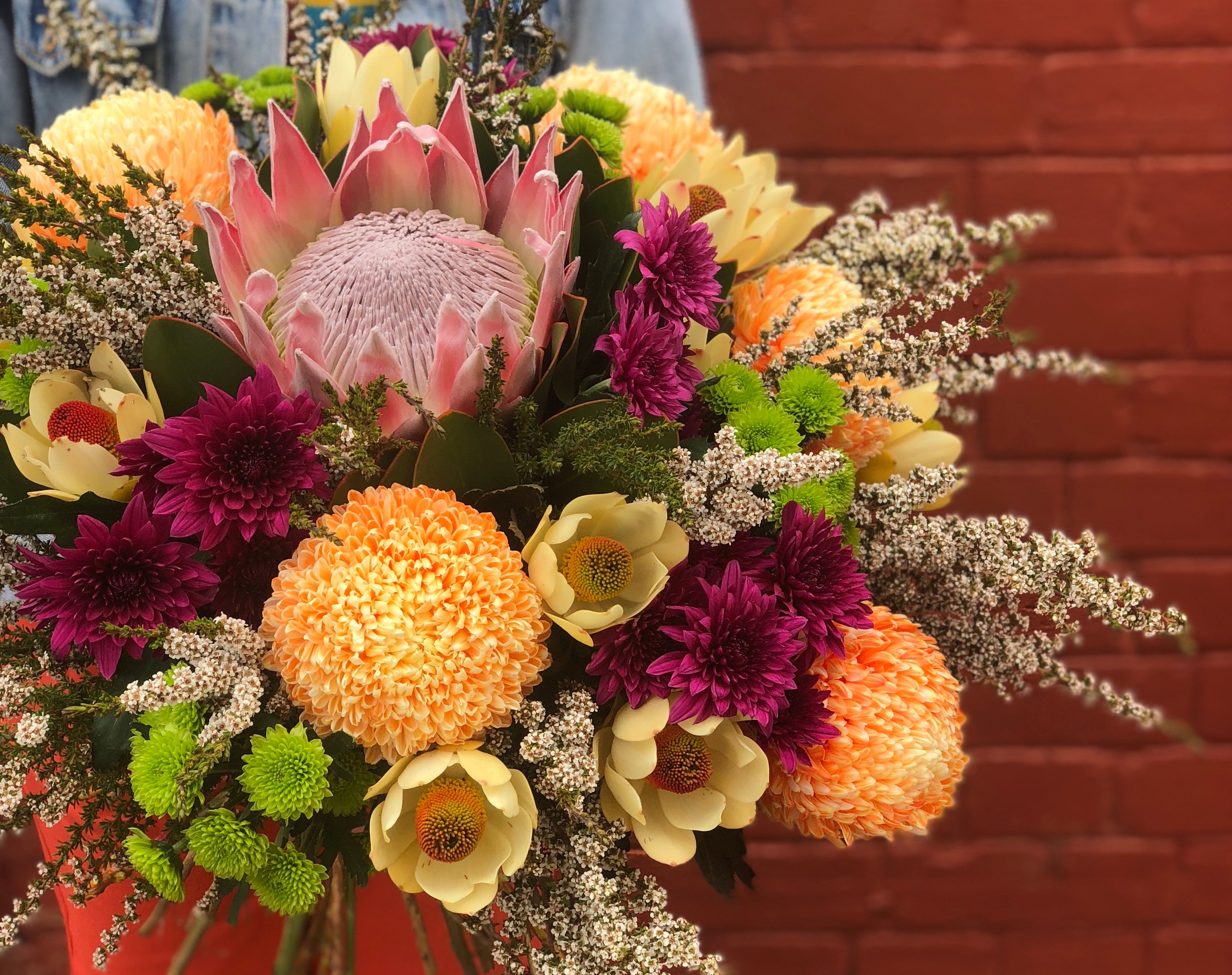 Flower of the monthdrum rollKing Protea – East End Flower Market