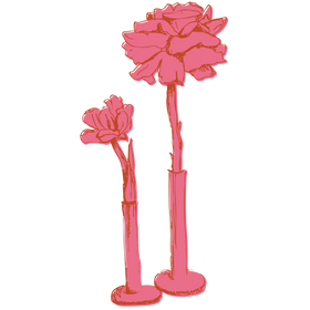 Drawing of two pink floral vases