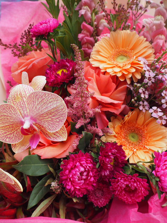 Colorful bouquet of flowers including pink, orange, and purple flowers with green leaves.