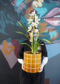 Load image into Gallery viewer, East End Flower Market Cymbidium Orchid