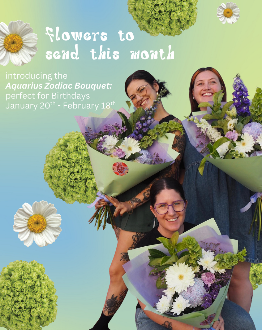 💐 Flowers to Send This Month: New Zodiac Bouquet – AQUARIUS ♒