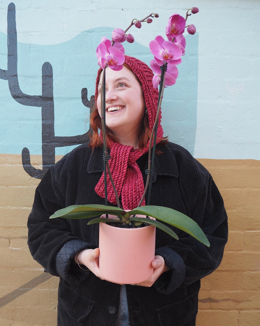 Coral Crush Collection at East End Flower Market