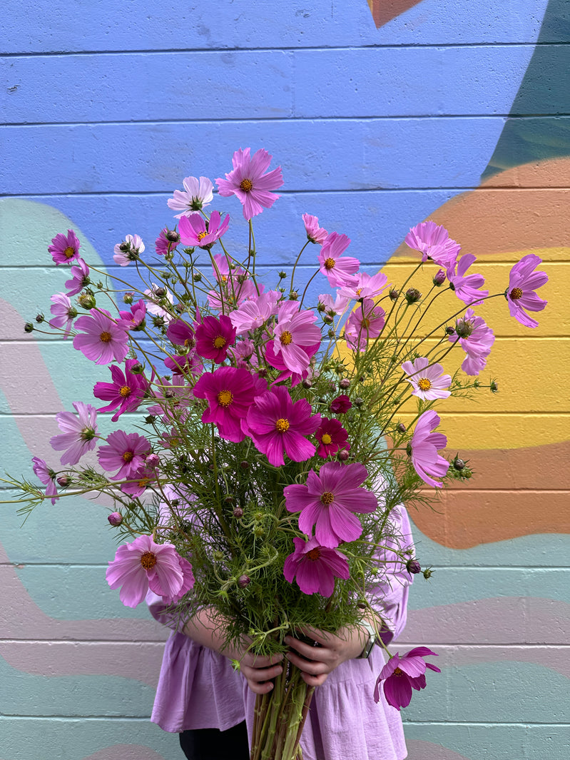 Keeping Your East End Flower Market Blooms Fresh: A Guide to Proper Care
