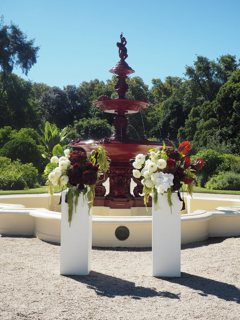 Adelaide Botanic Gardens | East End Flower Market