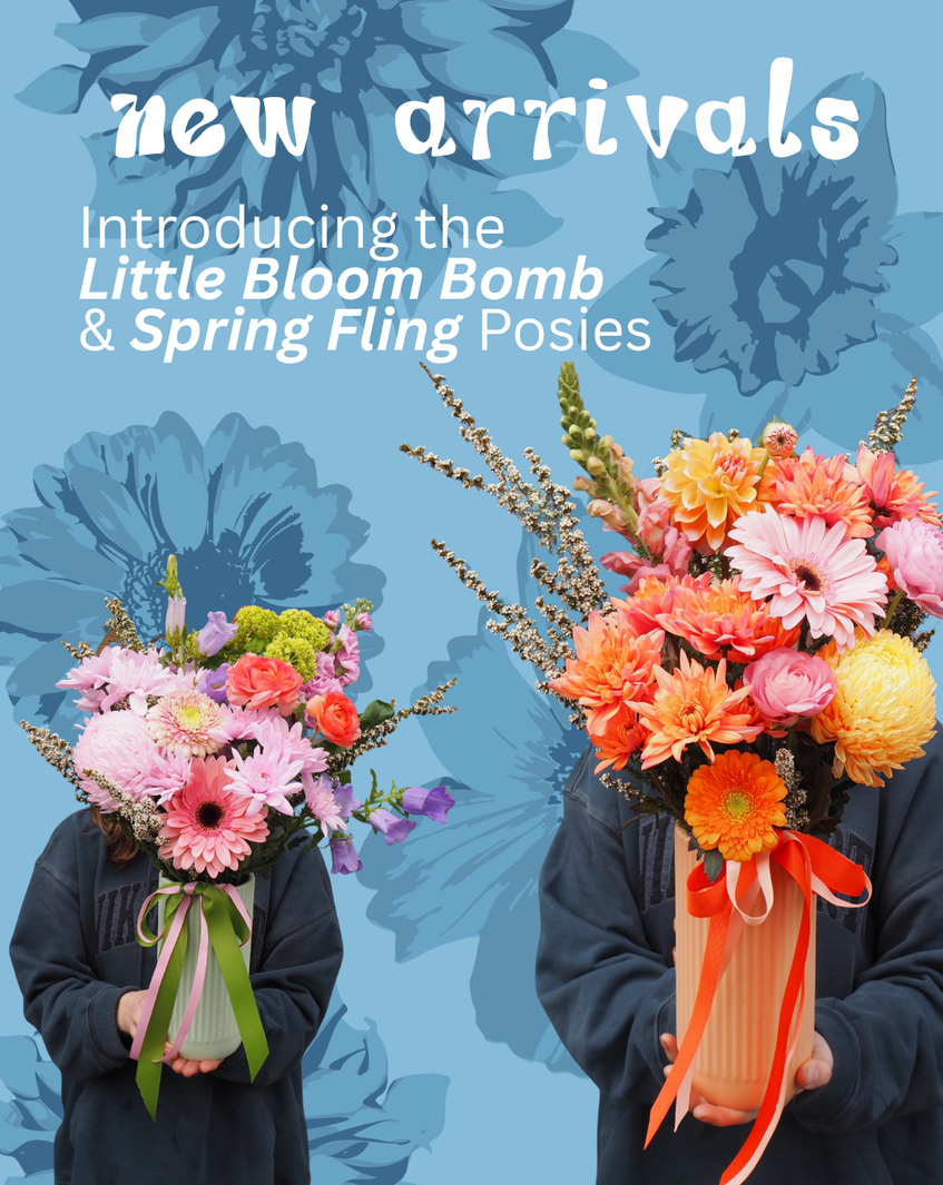 New Arrivals: The Little Bloom Bomb & Spring Fling Posies 💐 | East End Flower Market