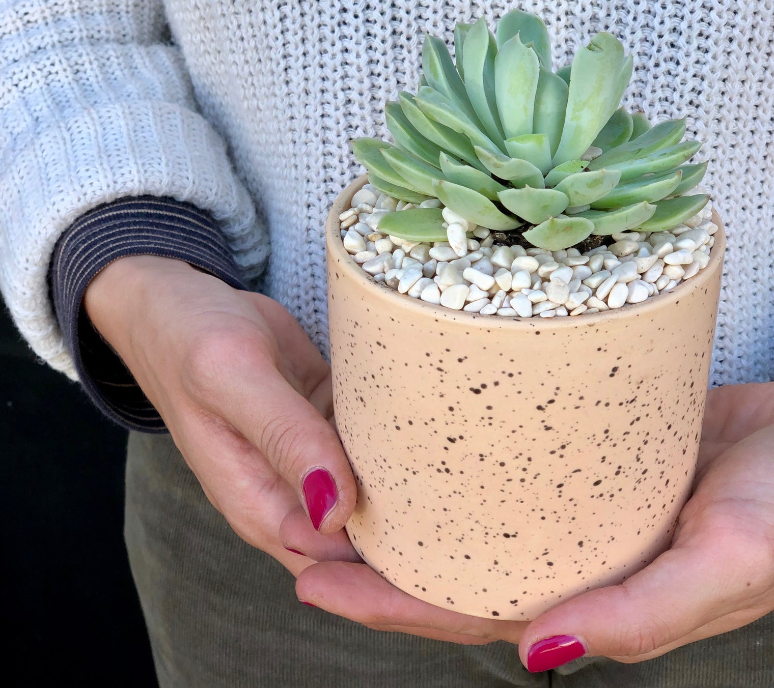Why a Plant is The Perfect Housewarming Gift