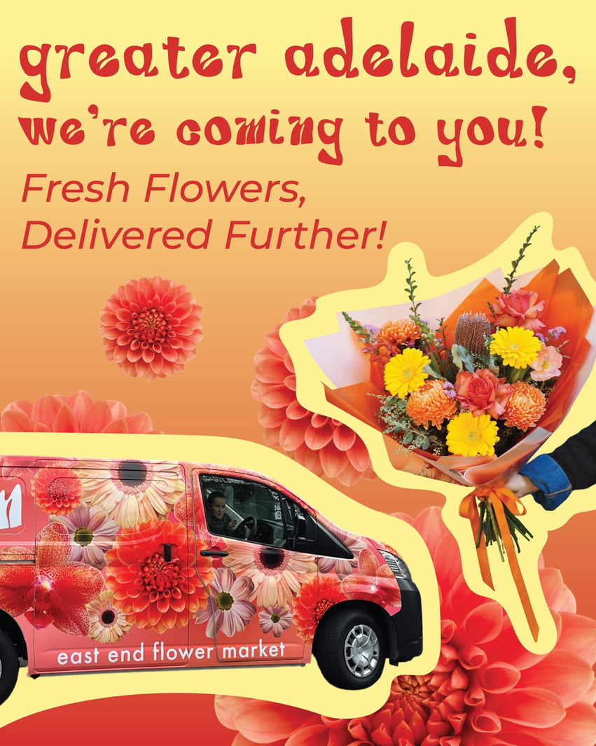 We’re Expanding! New Delivery Zones Now Available Across Adelaide
