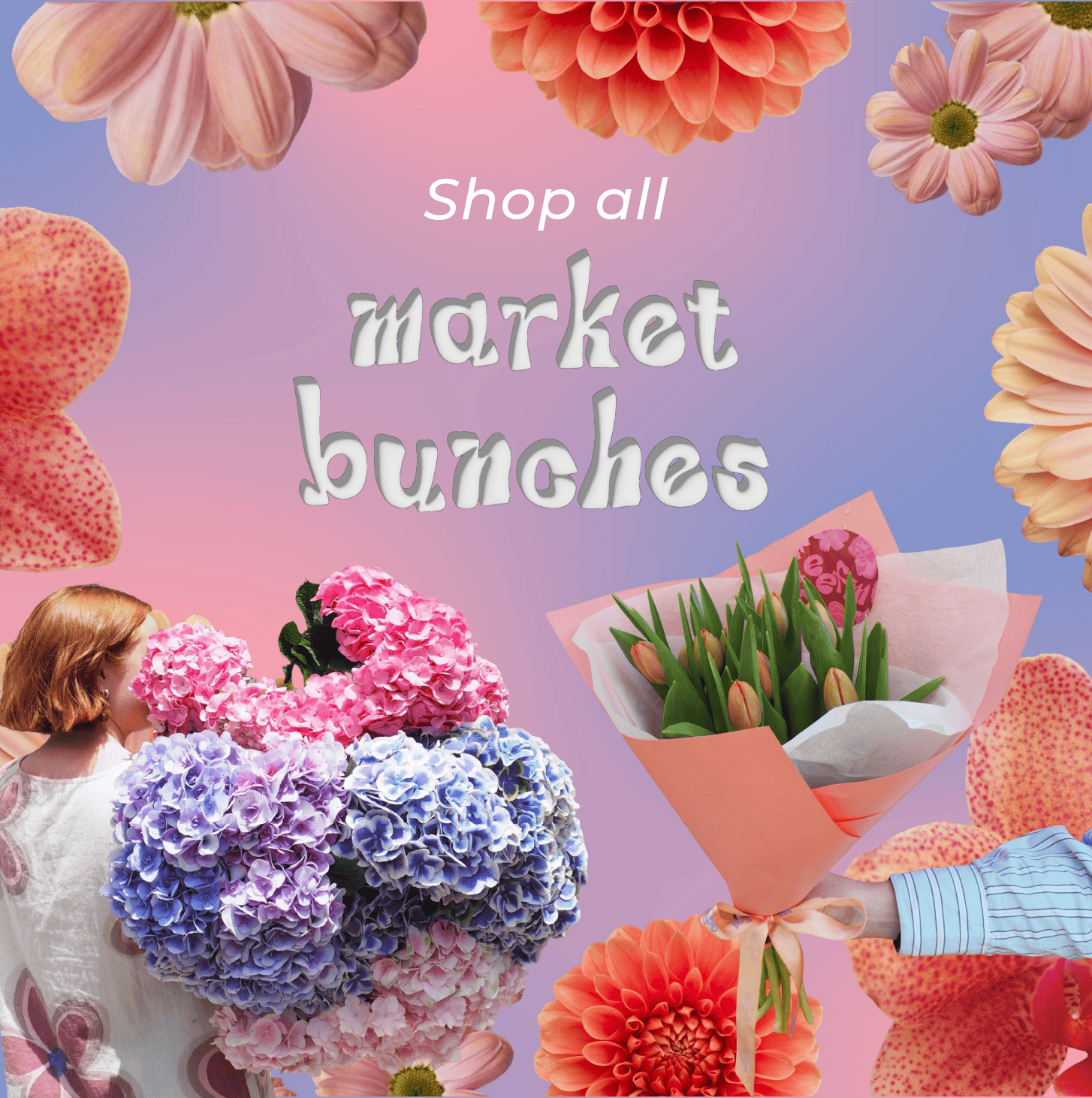 The Market Bunch Collection