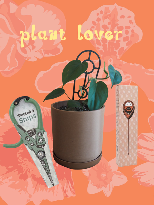 Plant Lover Bundle