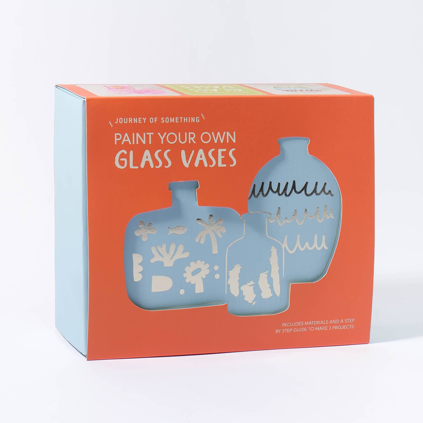 Paint Your Own Glass Vases