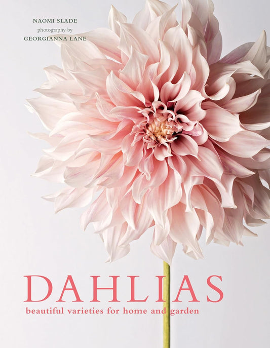 Dahlias Coffee Table Book by Naomi Slade