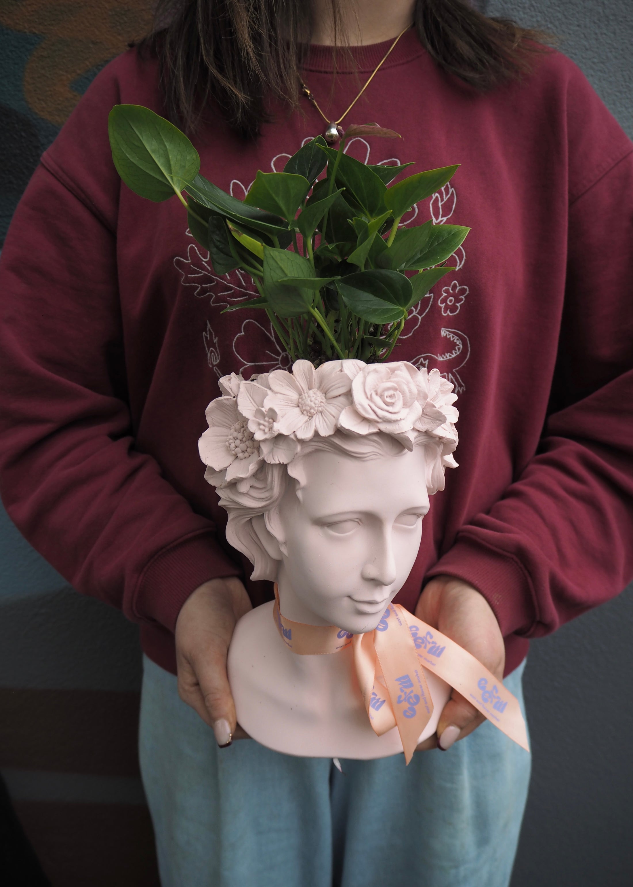 Person holding a pink bust planter with green plant, wearing a maroon sweatshirt. Plant delivery available in Adelaide 