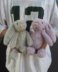 Load image into Gallery viewer, Two plush long ear bunny rabbits, one in grey and one in lilac colour available for Adelaide Delivery
