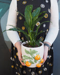 Load image into Gallery viewer, Arancia Peace Lily
