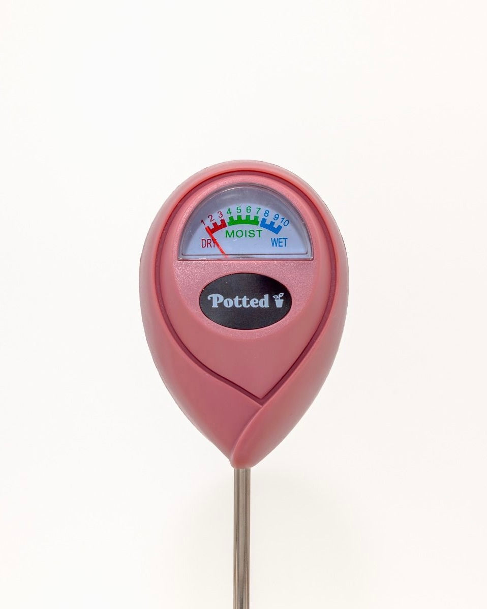 Indoor Moisture Meter