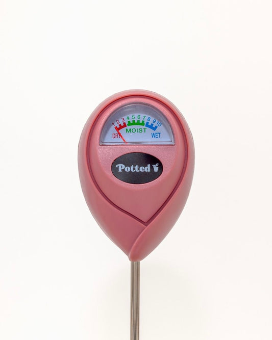 Indoor Moisture Meter
