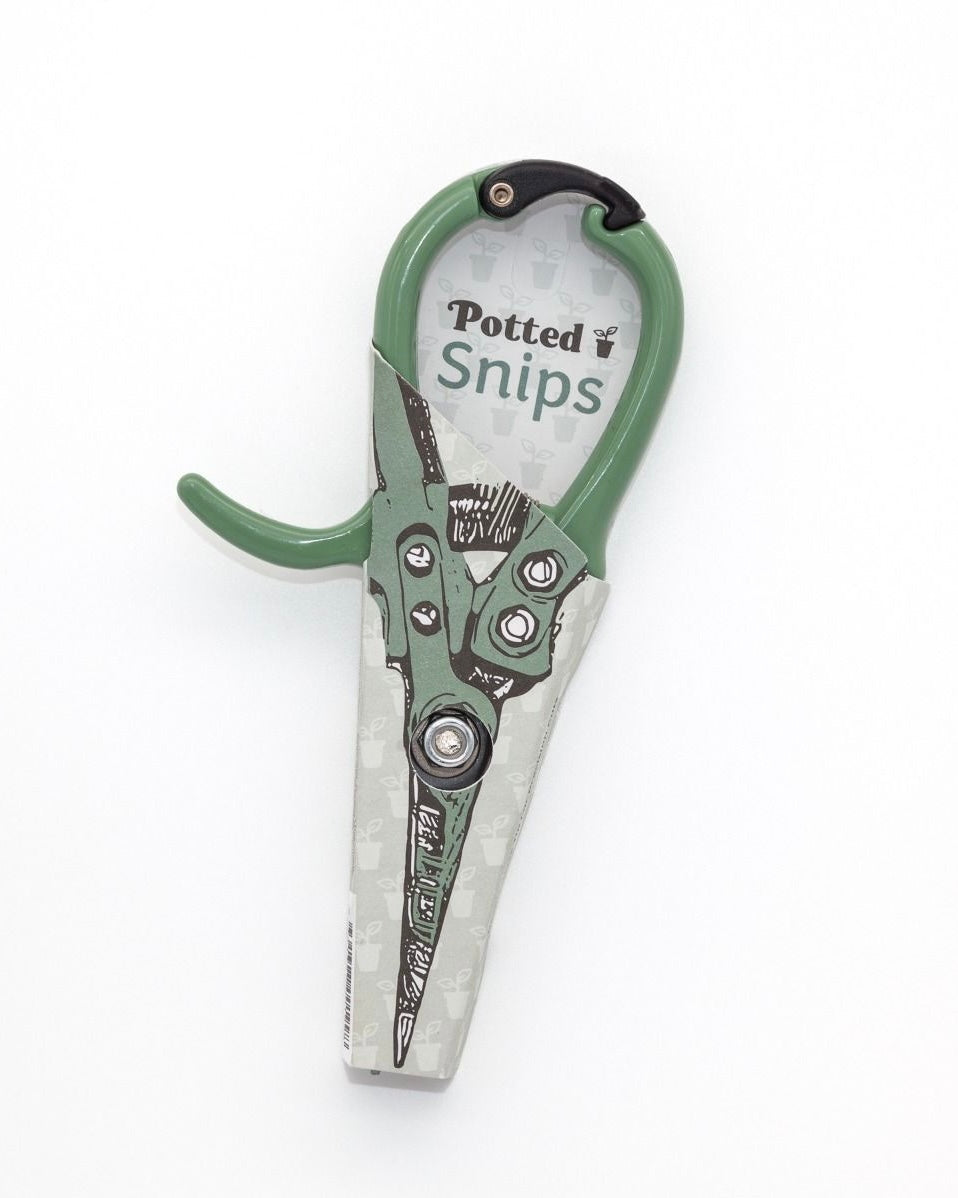 Indoor Snips