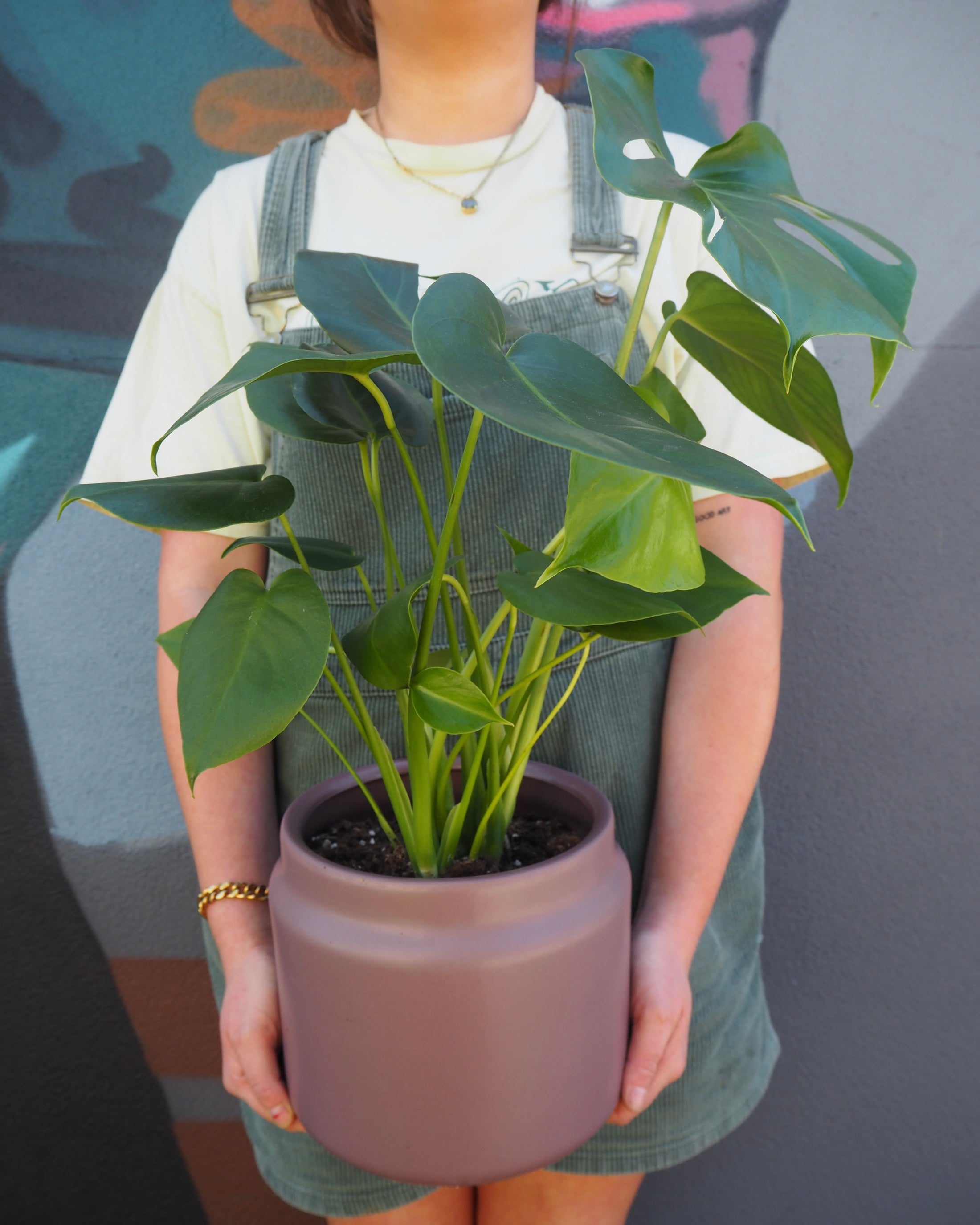 Nina Monstera