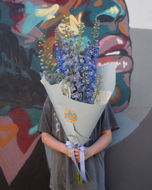 Delphinium Market Bunch