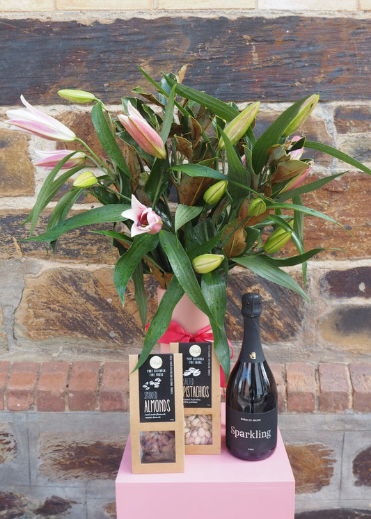 Celebration Bundle