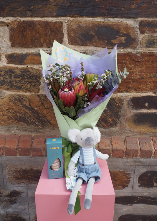 Koala Cuddles Bundle