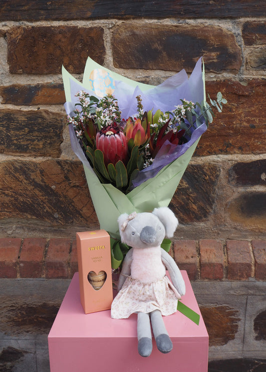 Koala Cuddles Bundle