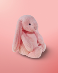 Load image into Gallery viewer, Long Ear Bunny Rabbit
