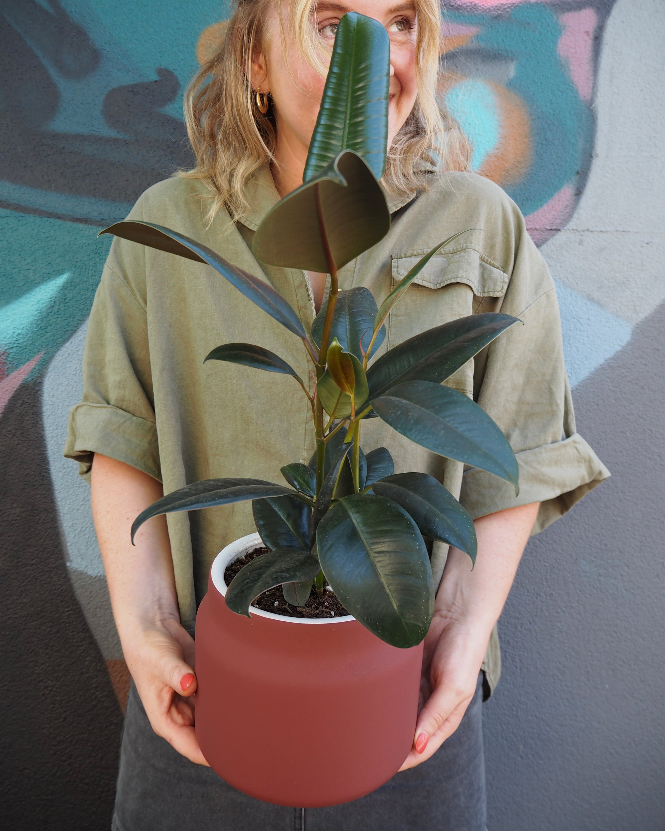 Etta Burnt Sienna Rubber Tree