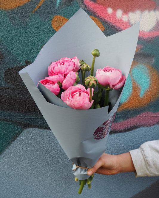 Ranunculus and Choccy