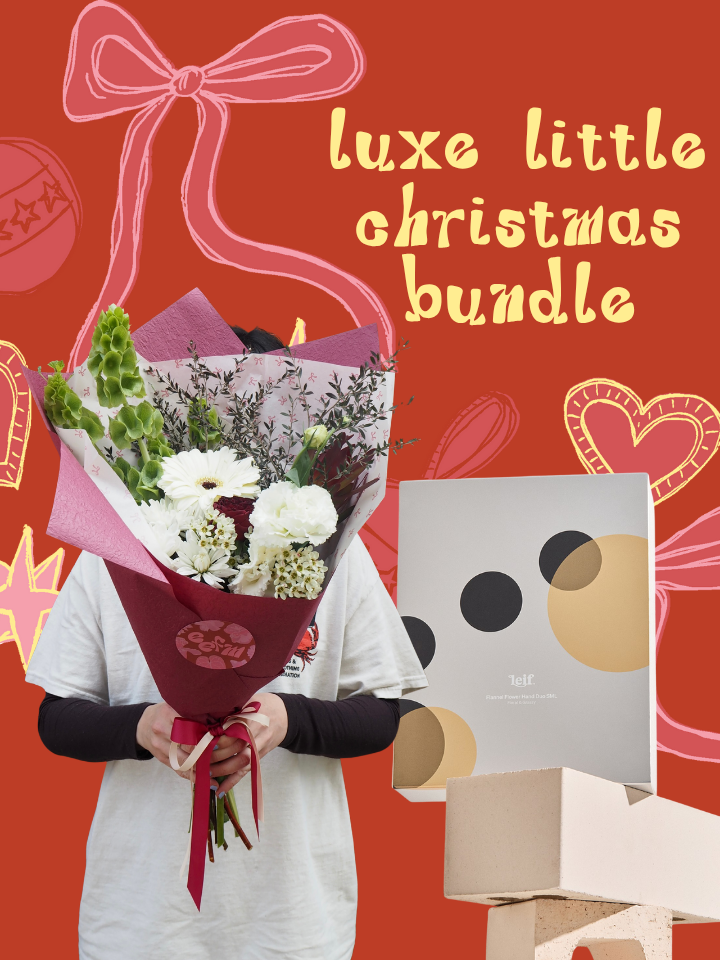 Luxe Little Christmas Bundle