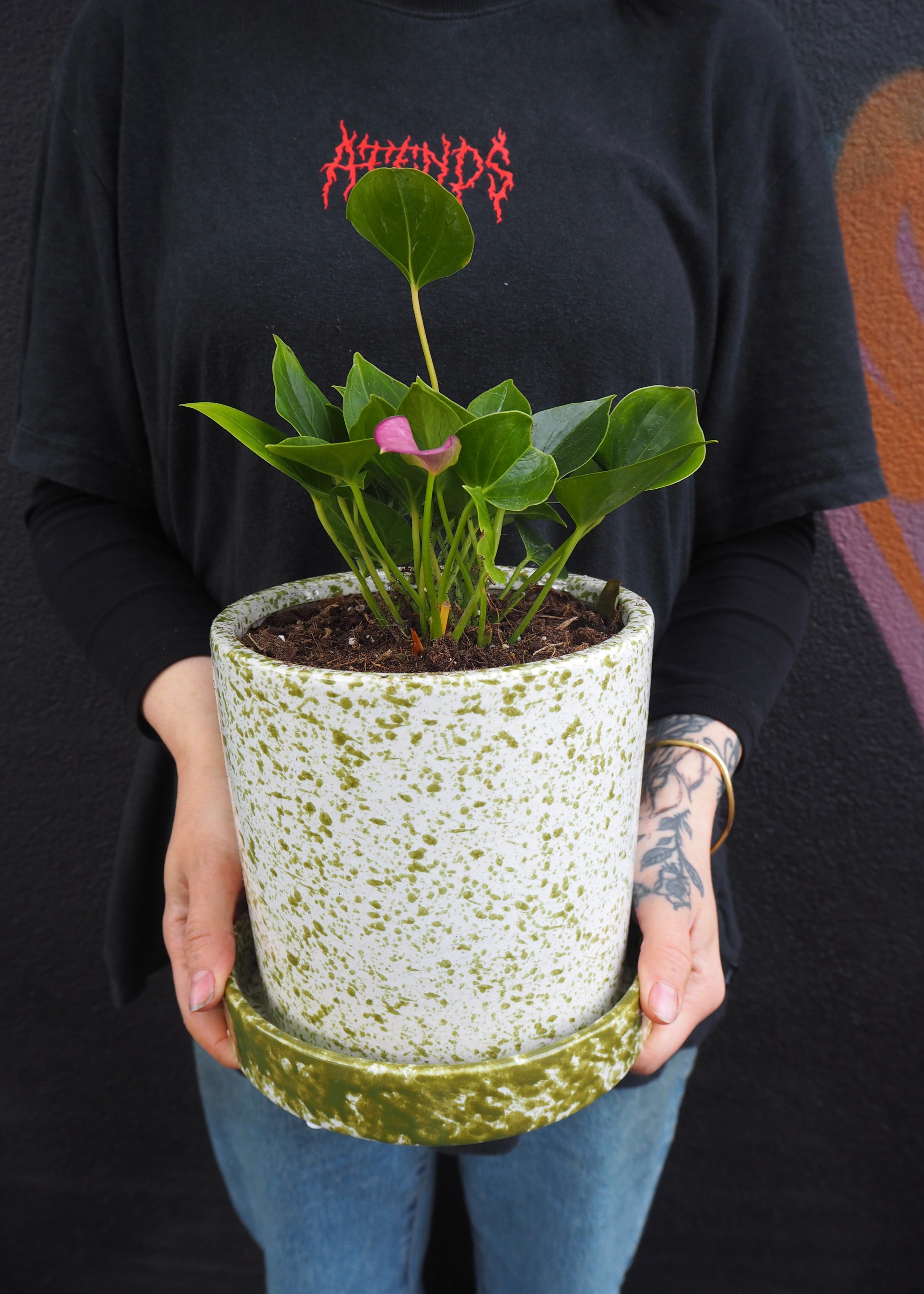 Person holding a potted plant with a black shirt