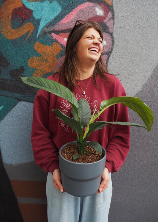 Plant delivery available in Adelaide 