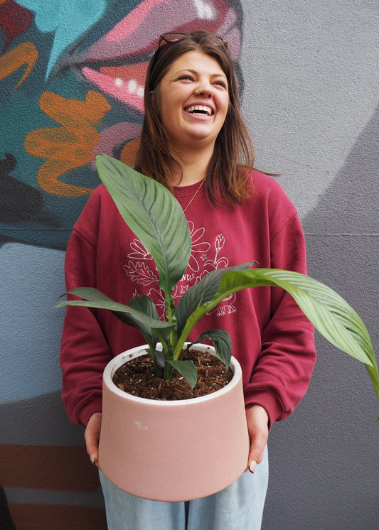 Plant Delivery available in Adelaide Florist 