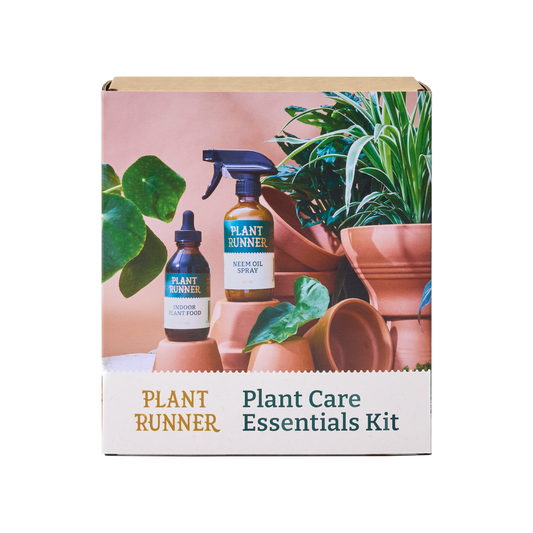 Plant Care Essentials Kit packaging with plants and gardening tools on a white background