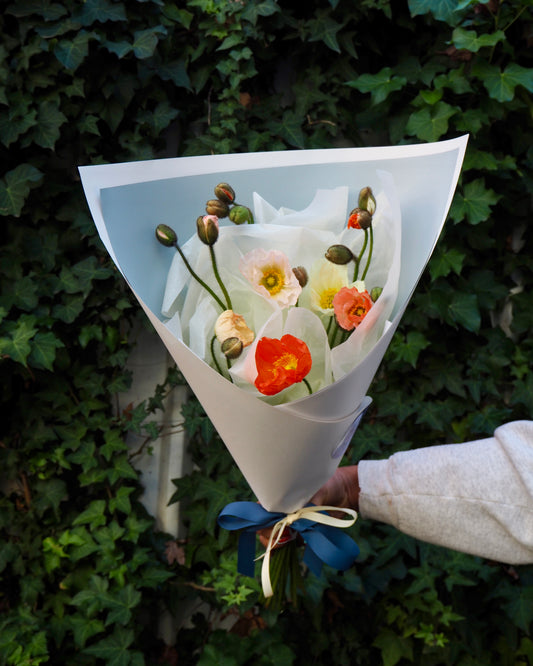 Locally Grown Poppies available for delivery in Adelaide 