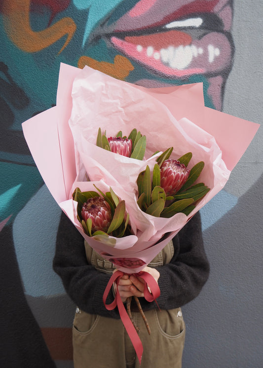 Locally Grown Proteas available for Adelaide Delivery