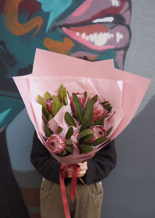 Locally Grown Proteas available for Adelaide Delivery
