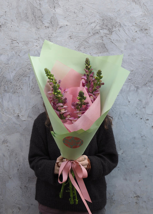 🌾 Seasonal Market Bunch
Fresh seasonal market bunch | Adelaide florist same-day flower delivery
