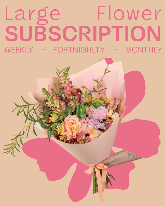 Recurring Large Flower Subscription