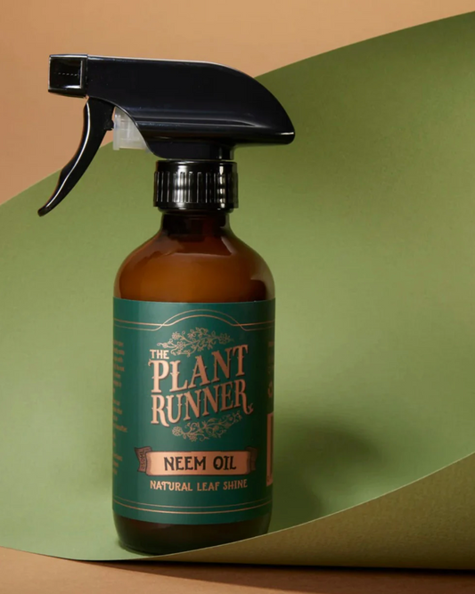 Plant Runner Neem Oil Leaf Shine