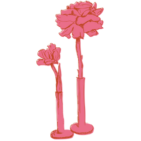 Drawing of two pink floral vases 
