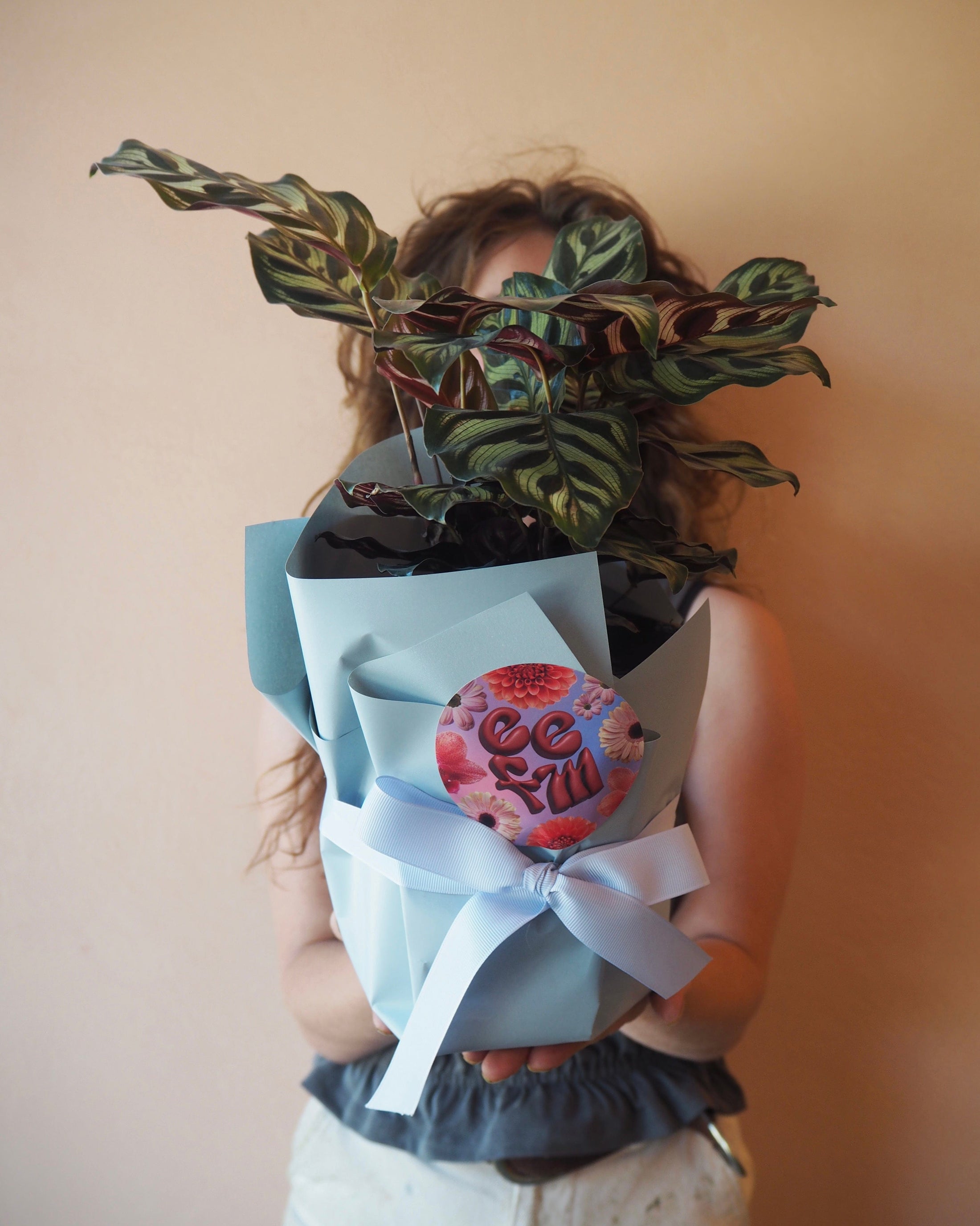 East End Flower Market Calathea Maui Queen