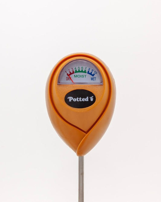 East End Flower Market Cinnamon Indoor Moisture Meter