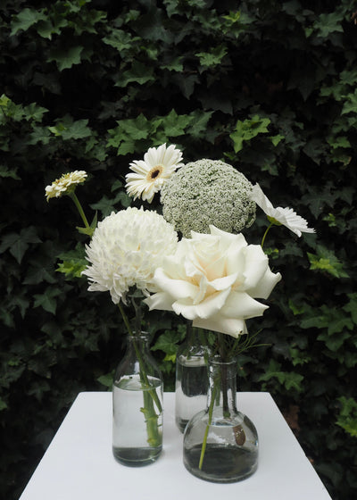 East End Flower Market Clear Bud Vase Cluster