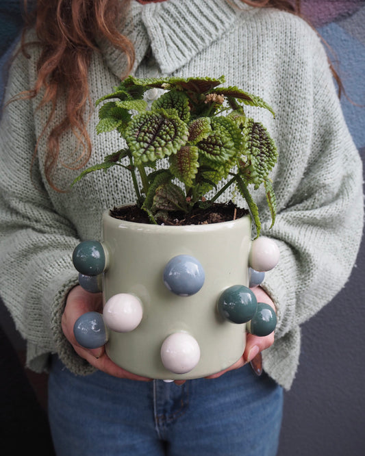 East End Flower Market Emerson Moon Valley Pilea