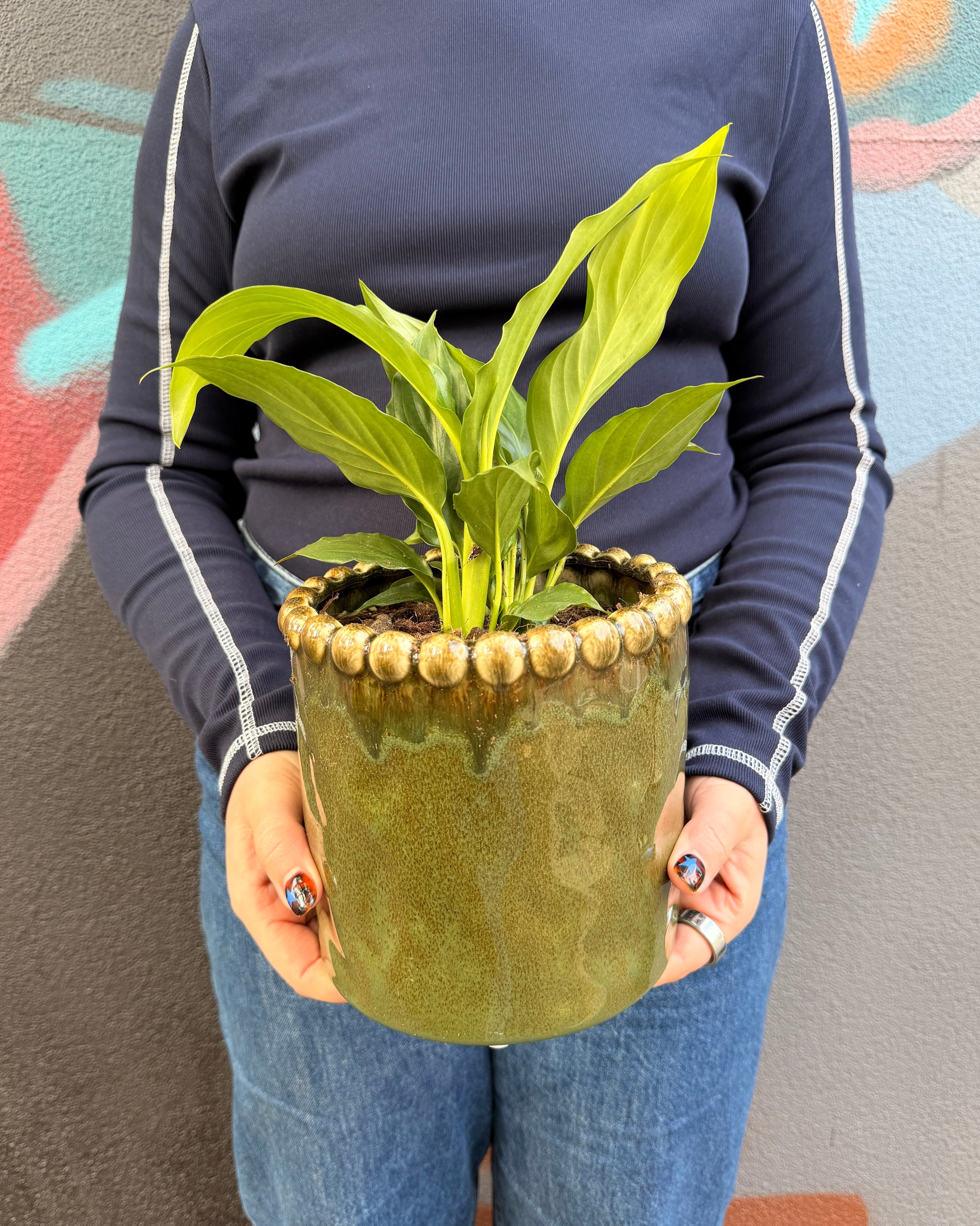 East End Flower Market Emerson Peace Lily