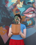 Load image into Gallery viewer, East End Flower Market Heartleaf Philodendron Medium
