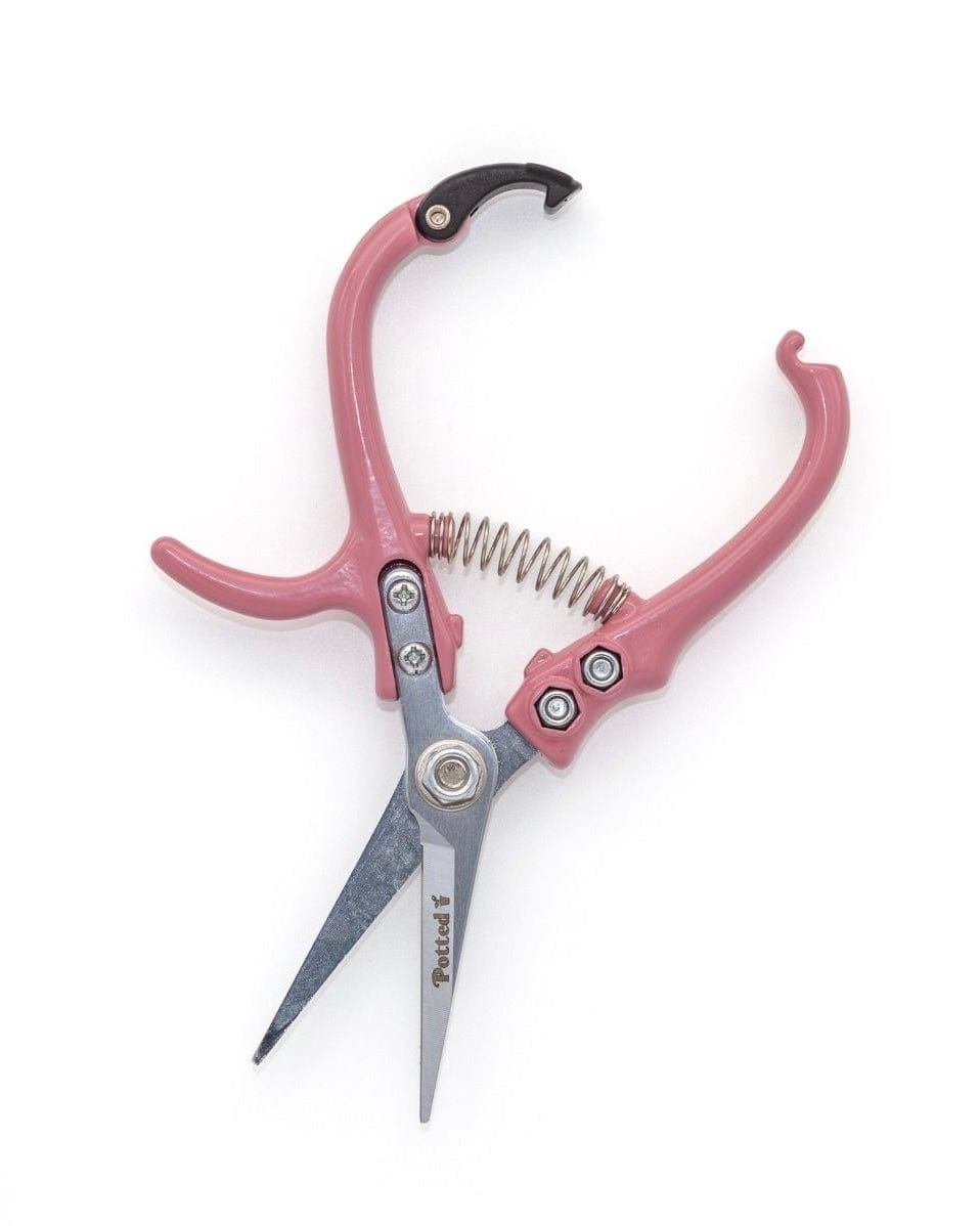 East End Flower Market Indoor Snips