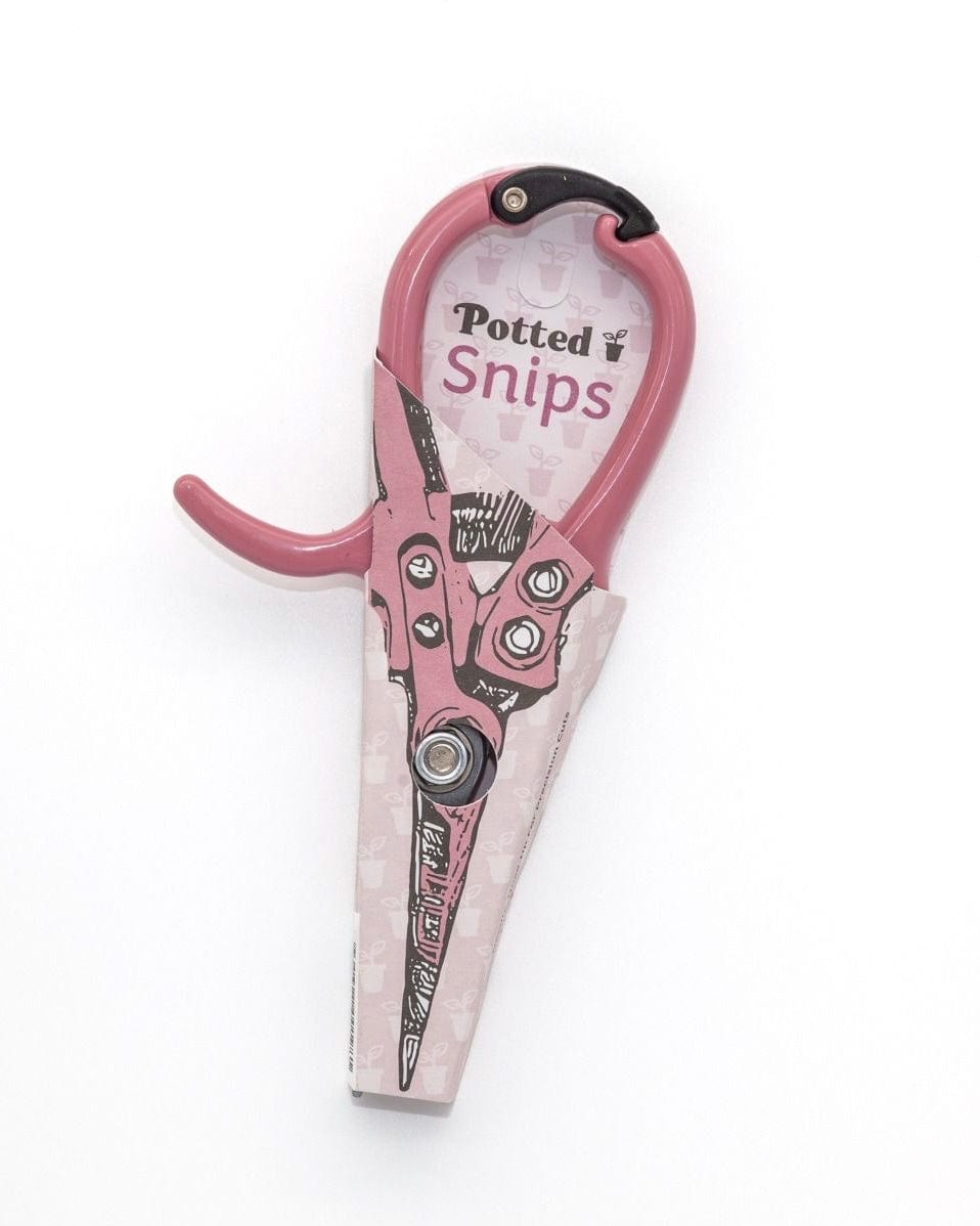 East End Flower Market Indoor Snips