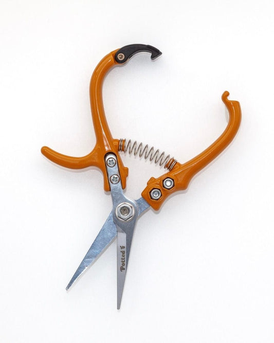 Indoor Snips | East End Flower Market